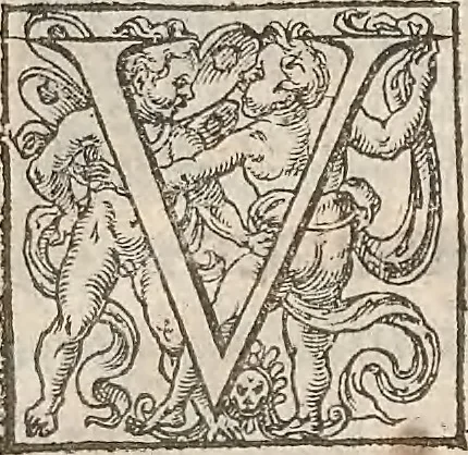 An illustration from Guilielmi Gilberti Colcestrensis, medici londinensis, De magnete : magneticisque corporibus, et de magno magnete tellure; physiologia noua, plurimis & argumentis, & experimentis demonstrata, 1600, leaf 180