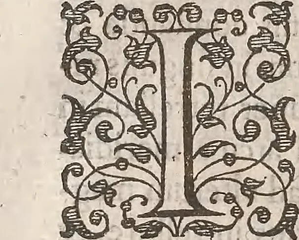 An illustration from Guilielmi Gilberti Colcestrensis, medici londinensis, De magnete : magneticisque corporibus, et de magno magnete tellure; physiologia noua, plurimis & argumentis, & experimentis demonstrata, 1600, leaf 181