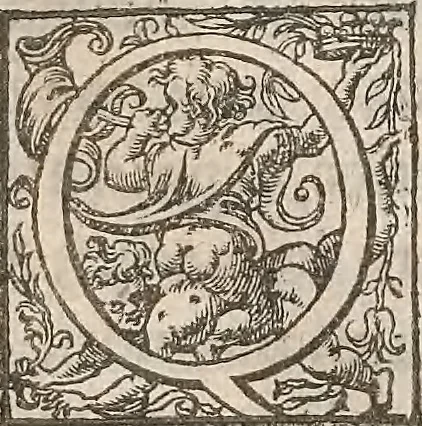An illustration from Guilielmi Gilberti Colcestrensis, medici londinensis, De magnete : magneticisque corporibus, et de magno magnete tellure; physiologia noua, plurimis & argumentis, & experimentis demonstrata, 1600, leaf 182