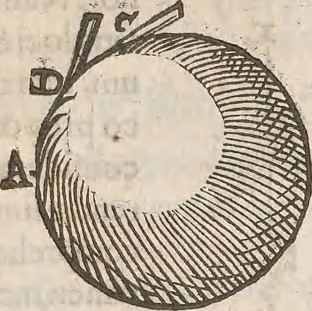 An illustration from Guilielmi Gilberti Colcestrensis, medici londinensis, De magnete : magneticisque corporibus, et de magno magnete tellure; physiologia noua, plurimis & argumentis, & experimentis demonstrata, 1600, leaf 184