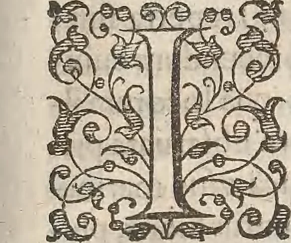 An illustration from Guilielmi Gilberti Colcestrensis, medici londinensis, De magnete : magneticisque corporibus, et de magno magnete tellure; physiologia noua, plurimis & argumentis, & experimentis demonstrata, 1600, leaf 186