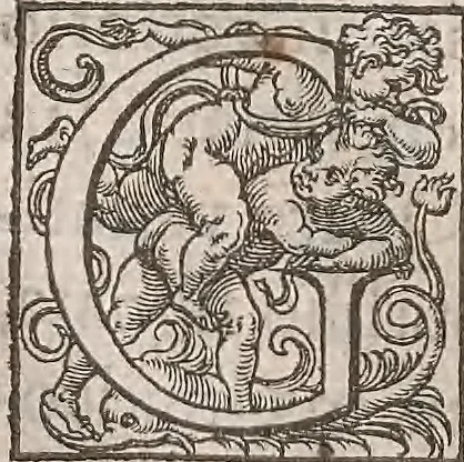An illustration from Guilielmi Gilberti Colcestrensis, medici londinensis, De magnete : magneticisque corporibus, et de magno magnete tellure; physiologia noua, plurimis & argumentis, & experimentis demonstrata, 1600, leaf 187