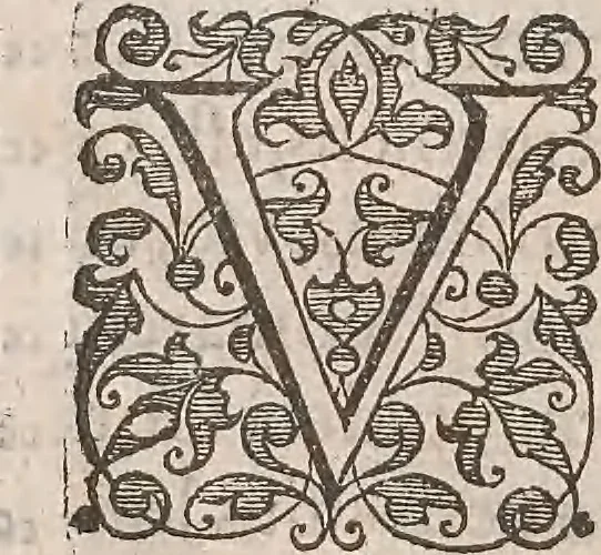 An illustration from Guilielmi Gilberti Colcestrensis, medici londinensis, De magnete : magneticisque corporibus, et de magno magnete tellure; physiologia noua, plurimis & argumentis, & experimentis demonstrata, 1600, leaf 189
