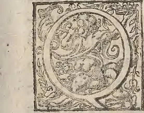 An illustration from Guilielmi Gilberti Colcestrensis, medici londinensis, De magnete : magneticisque corporibus, et de magno magnete tellure; physiologia noua, plurimis & argumentis, & experimentis demonstrata, 1600, leaf 190