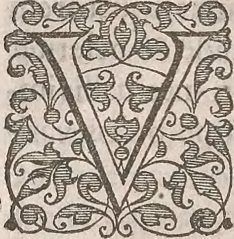 An illustration from Guilielmi Gilberti Colcestrensis, medici londinensis, De magnete : magneticisque corporibus, et de magno magnete tellure; physiologia noua, plurimis & argumentis, & experimentis demonstrata, 1600, leaf 191