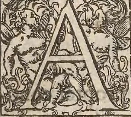 An illustration from Guilielmi Gilberti Colcestrensis, medici londinensis, De magnete : magneticisque corporibus, et de magno magnete tellure; physiologia noua, plurimis & argumentis, & experimentis demonstrata, 1600, leaf 198