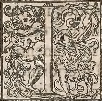 An illustration from Guilielmi Gilberti Colcestrensis, medici londinensis, De magnete : magneticisque corporibus, et de magno magnete tellure; physiologia noua, plurimis & argumentis, & experimentis demonstrata, 1600, leaf 199