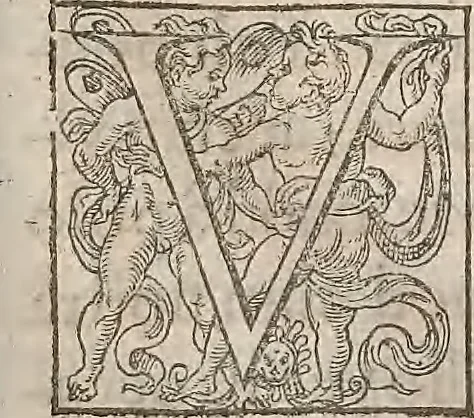 An illustration from Guilielmi Gilberti Colcestrensis, medici londinensis, De magnete : magneticisque corporibus, et de magno magnete tellure; physiologia noua, plurimis & argumentis, & experimentis demonstrata, 1600, leaf 200