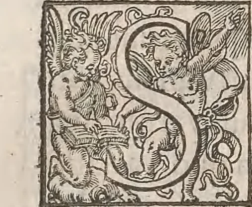 An illustration from Guilielmi Gilberti Colcestrensis, medici londinensis, De magnete : magneticisque corporibus, et de magno magnete tellure; physiologia noua, plurimis & argumentis, & experimentis demonstrata, 1600, leaf 201