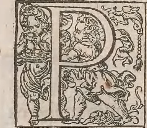 An illustration from Guilielmi Gilberti Colcestrensis, medici londinensis, De magnete : magneticisque corporibus, et de magno magnete tellure; physiologia noua, plurimis & argumentis, & experimentis demonstrata, 1600, leaf 201