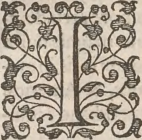 An illustration from Guilielmi Gilberti Colcestrensis, medici londinensis, De magnete : magneticisque corporibus, et de magno magnete tellure; physiologia noua, plurimis & argumentis, & experimentis demonstrata, 1600, leaf 203