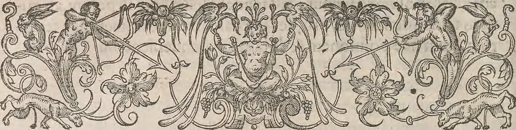 An illustration from Guilielmi Gilberti Colcestrensis, medici londinensis, De magnete : magneticisque corporibus, et de magno magnete tellure; physiologia noua, plurimis & argumentis, & experimentis demonstrata, 1600, leaf 205