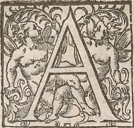 An illustration from Guilielmi Gilberti Colcestrensis, medici londinensis, De magnete : magneticisque corporibus, et de magno magnete tellure; physiologia noua, plurimis & argumentis, & experimentis demonstrata, 1600, leaf 211