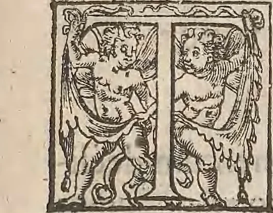 An illustration from Guilielmi Gilberti Colcestrensis, medici londinensis, De magnete : magneticisque corporibus, et de magno magnete tellure; physiologia noua, plurimis & argumentis, & experimentis demonstrata, 1600, leaf 214