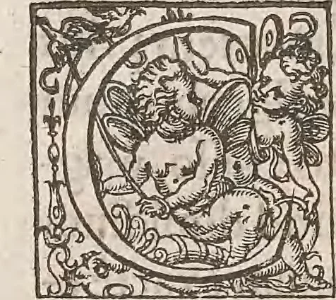 An illustration from Guilielmi Gilberti Colcestrensis, medici londinensis, De magnete : magneticisque corporibus, et de magno magnete tellure; physiologia noua, plurimis & argumentis, & experimentis demonstrata, 1600, leaf 215