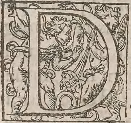 An illustration from Guilielmi Gilberti Colcestrensis, medici londinensis, De magnete : magneticisque corporibus, et de magno magnete tellure; physiologia noua, plurimis & argumentis, & experimentis demonstrata, 1600, leaf 217