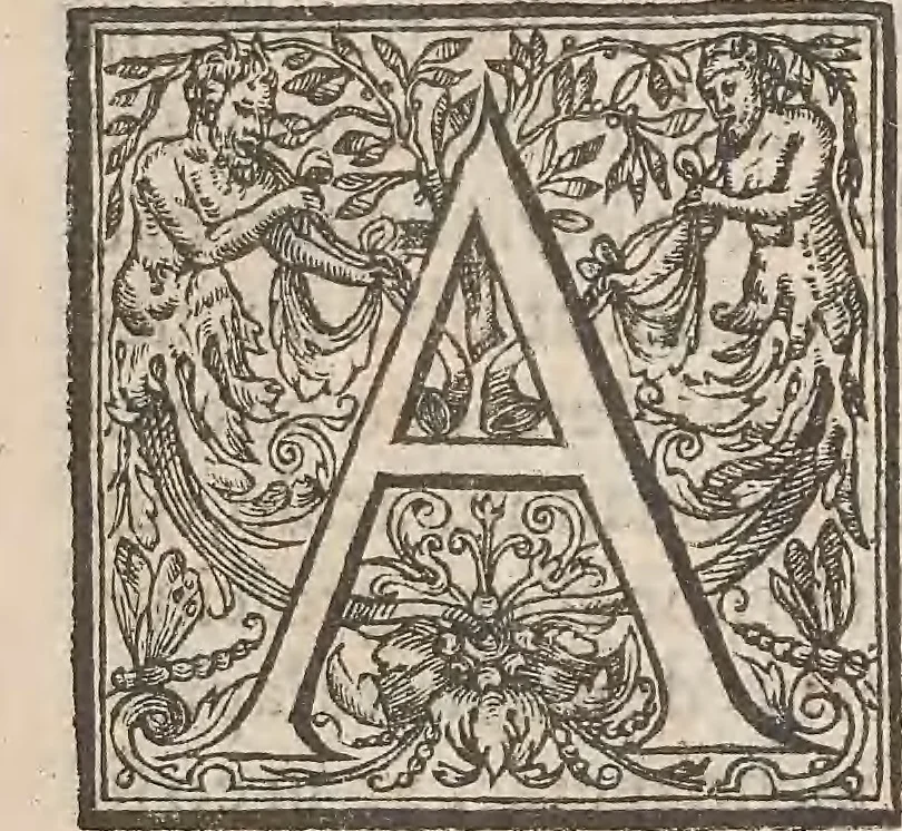 An illustration from Guilielmi Gilberti Colcestrensis, medici londinensis, De magnete : magneticisque corporibus, et de magno magnete tellure; physiologia noua, plurimis & argumentis, & experimentis demonstrata, 1600, leaf 22