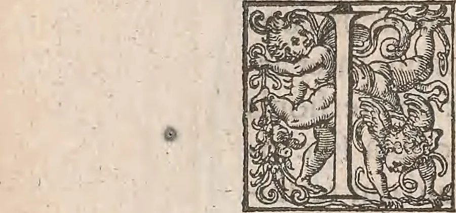 An illustration from Guilielmi Gilberti Colcestrensis, medici londinensis, De magnete : magneticisque corporibus, et de magno magnete tellure; physiologia noua, plurimis & argumentis, & experimentis demonstrata, 1600, leaf 221
