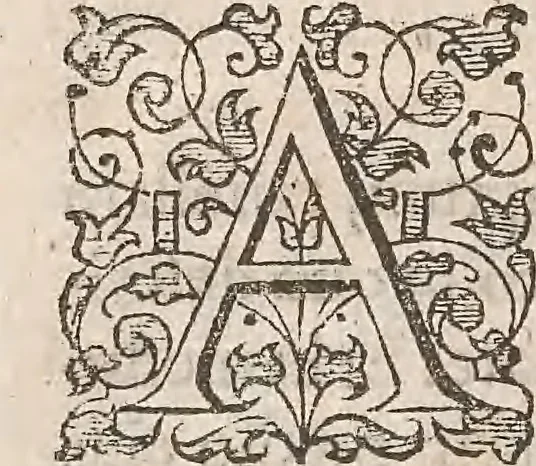 An illustration from Guilielmi Gilberti Colcestrensis, medici londinensis, De magnete : magneticisque corporibus, et de magno magnete tellure; physiologia noua, plurimis & argumentis, & experimentis demonstrata, 1600, leaf 231