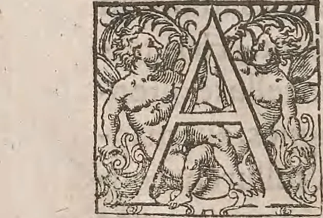 An illustration from Guilielmi Gilberti Colcestrensis, medici londinensis, De magnete : magneticisque corporibus, et de magno magnete tellure; physiologia noua, plurimis & argumentis, & experimentis demonstrata, 1600, leaf 235