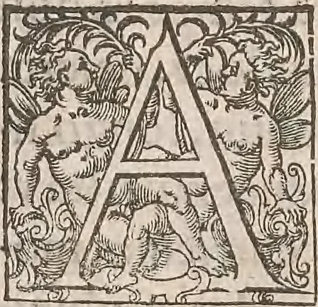 An illustration from Guilielmi Gilberti Colcestrensis, medici londinensis, De magnete : magneticisque corporibus, et de magno magnete tellure; physiologia noua, plurimis & argumentis, & experimentis demonstrata, 1600, leaf 237