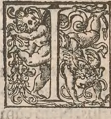 An illustration from Guilielmi Gilberti Colcestrensis, medici londinensis, De magnete : magneticisque corporibus, et de magno magnete tellure; physiologia noua, plurimis & argumentis, & experimentis demonstrata, 1600, leaf 243