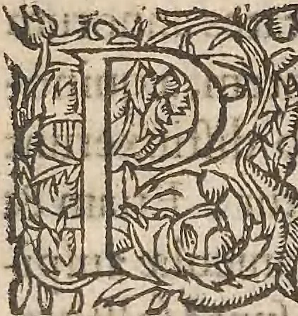An illustration from Guilielmi Gilberti Colcestrensis, medici londinensis, De magnete : magneticisque corporibus, et de magno magnete tellure; physiologia noua, plurimis & argumentis, & experimentis demonstrata, 1600, leaf 256