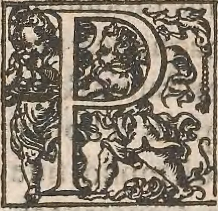 An illustration from Guilielmi Gilberti Colcestrensis, medici londinensis, De magnete : magneticisque corporibus, et de magno magnete tellure; physiologia noua, plurimis & argumentis, & experimentis demonstrata, 1600, leaf 257