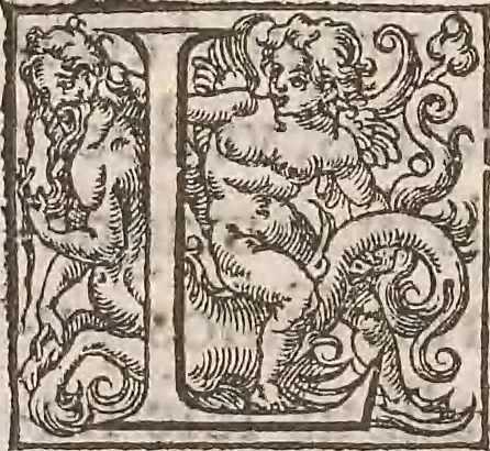 An illustration from Guilielmi Gilberti Colcestrensis, medici londinensis, De magnete : magneticisque corporibus, et de magno magnete tellure; physiologia noua, plurimis & argumentis, & experimentis demonstrata, 1600, leaf 29