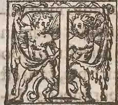 An illustration from Guilielmi Gilberti Colcestrensis, medici londinensis, De magnete : magneticisque corporibus, et de magno magnete tellure; physiologia noua, plurimis & argumentis, & experimentis demonstrata, 1600, leaf 35