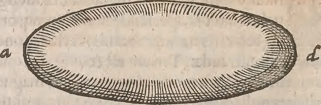 An illustration from Guilielmi Gilberti Colcestrensis, medici londinensis, De magnete : magneticisque corporibus, et de magno magnete tellure; physiologia noua, plurimis & argumentis, & experimentis demonstrata, 1600, leaf 37