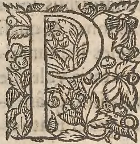 An illustration from Guilielmi Gilberti Colcestrensis, medici londinensis, De magnete : magneticisque corporibus, et de magno magnete tellure; physiologia noua, plurimis & argumentis, & experimentis demonstrata, 1600, leaf 40