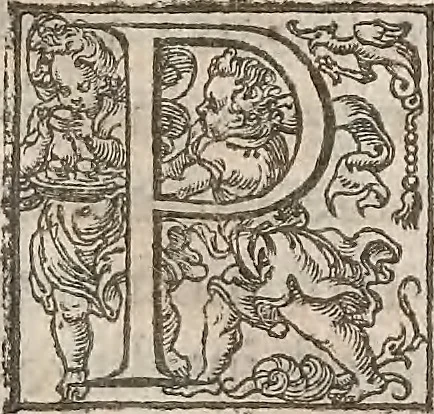 An illustration from Guilielmi Gilberti Colcestrensis, medici londinensis, De magnete : magneticisque corporibus, et de magno magnete tellure; physiologia noua, plurimis & argumentis, & experimentis demonstrata, 1600, leaf 60