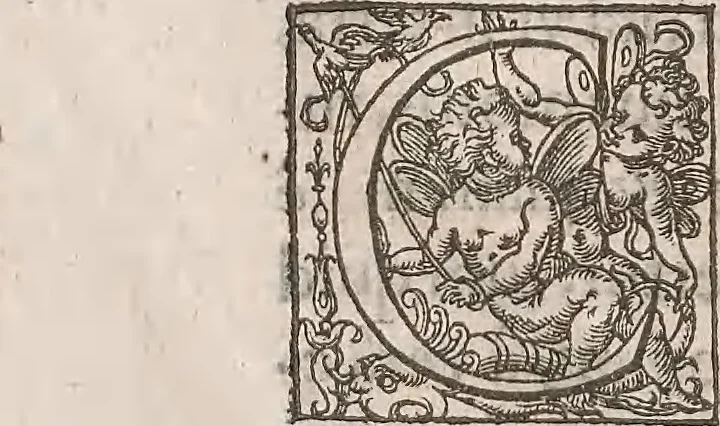 An illustration from Guilielmi Gilberti Colcestrensis, medici londinensis, De magnete : magneticisque corporibus, et de magno magnete tellure; physiologia noua, plurimis & argumentis, & experimentis demonstrata, 1600, leaf 67