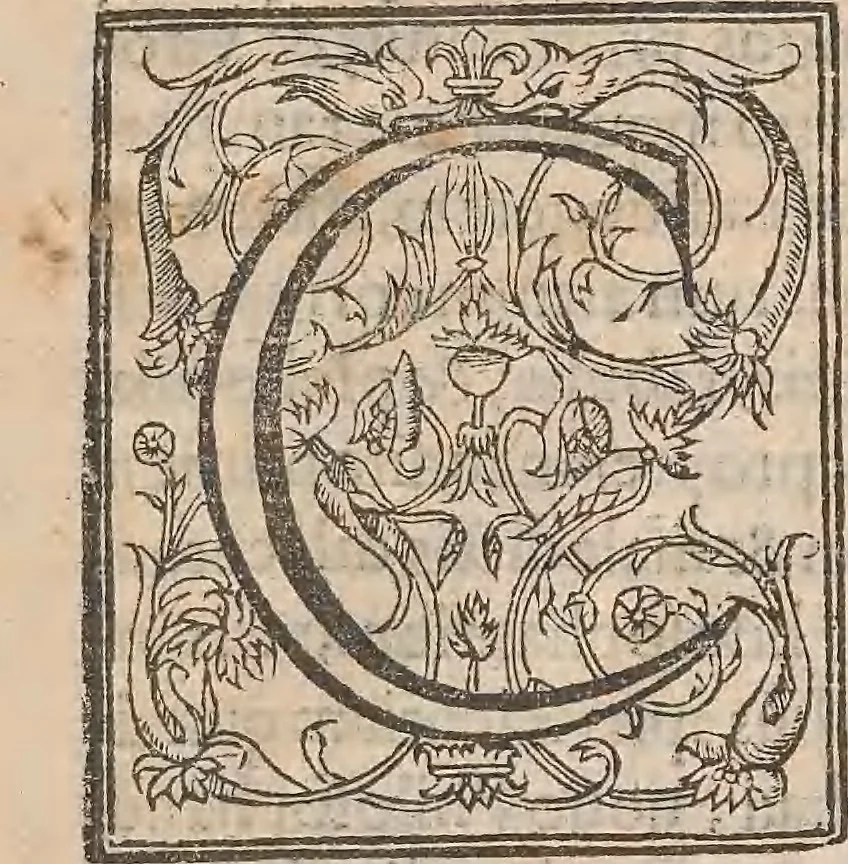 An illustration from Guilielmi Gilberti Colcestrensis, medici londinensis, De magnete : magneticisque corporibus, et de magno magnete tellure; physiologia noua, plurimis & argumentis, & experimentis demonstrata, 1600, leaf 8