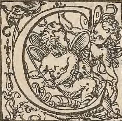 An illustration from Guilielmi Gilberti Colcestrensis, medici londinensis, De magnete : magneticisque corporibus, et de magno magnete tellure; physiologia noua, plurimis & argumentis, & experimentis demonstrata, 1600, leaf 96