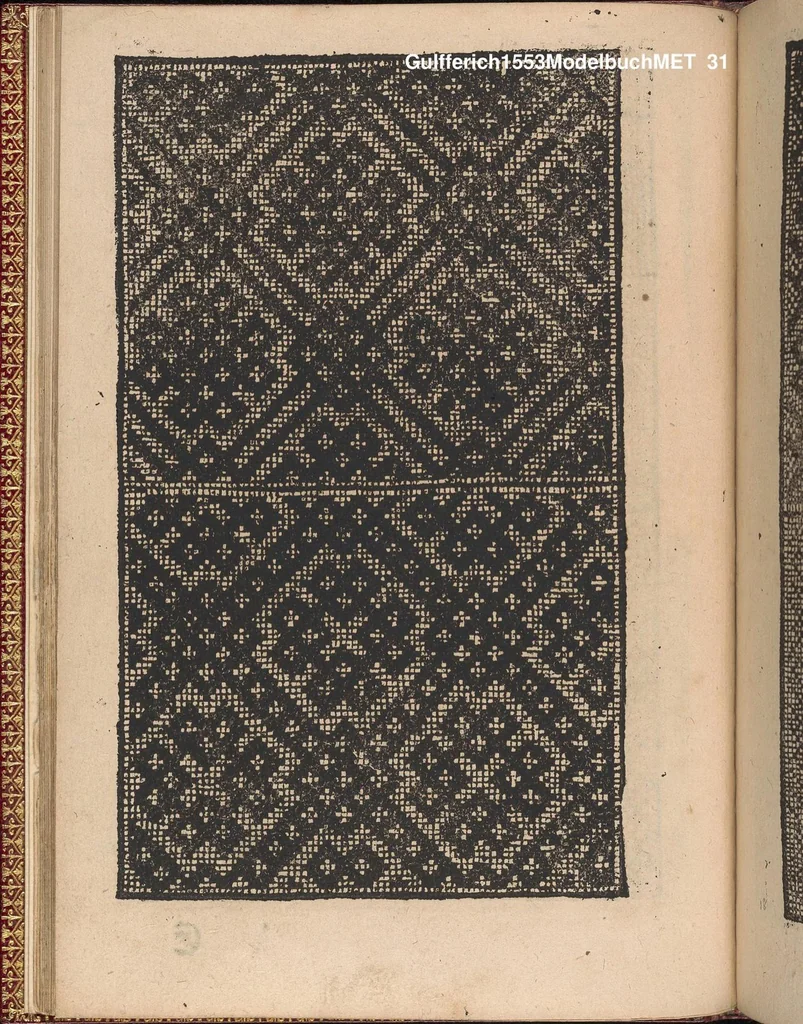 An illustration from Modelbuch new aller art nehens und stickens. Jetzundt wider mit viel schoenen moedelen unnd stahlen, allen steinmetzen, schreinern, seidenstickern und nederinnen, sehr nuetzlich und luestig zugericht, 1553, leaf 30