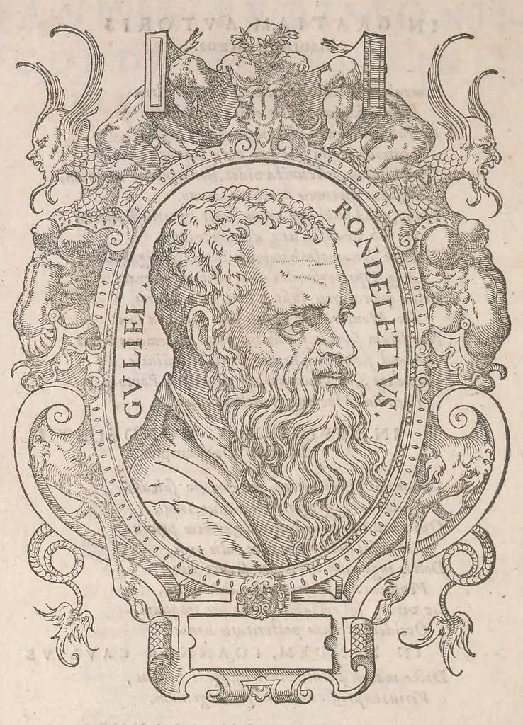An illustration from Gulielmi Rondeletii doctoris Medici et medicinae ... Libri de piscibus marinis : in quibus veræ piscium effigies expressae sunt : quæ in tota piscium historia continentur, indicat elenchus pagina nona et decima : postremo accesserunt indices necessarij, 1554, leaf 20