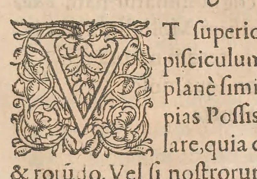 An illustration from Gulielmi Rondeletii doctoris Medici et medicinae ... Libri de piscibus marinis : in quibus veræ piscium effigies expressae sunt : quæ in tota piscium historia continentur, indicat elenchus pagina nona et decima : postremo accesserunt indices necessarij, 1554, leaf 225