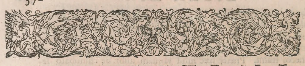 An illustration from Gulielmi Rondeletii doctoris Medici et medicinae ... Libri de piscibus marinis : in quibus veræ piscium effigies expressae sunt : quæ in tota piscium historia continentur, indicat elenchus pagina nona et decima : postremo accesserunt indices necessarij, 1554, leaf 392