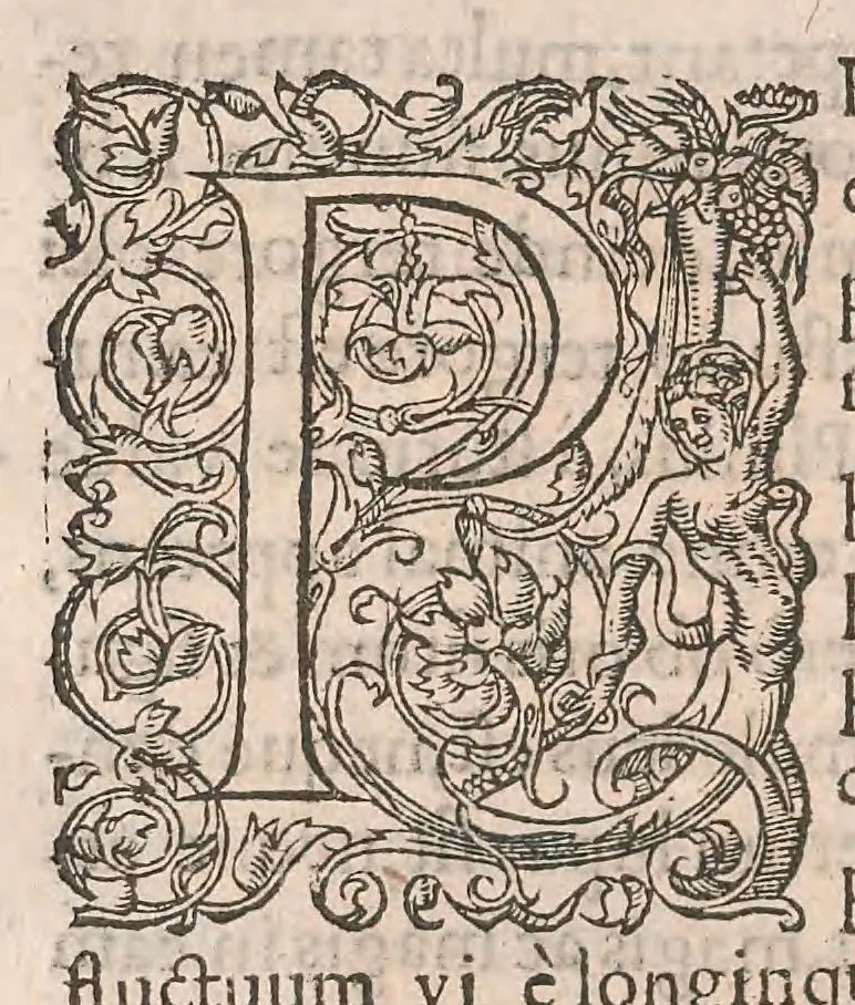 An illustration from Gulielmi Rondeletii doctoris Medici et medicinae ... Libri de piscibus marinis : in quibus veræ piscium effigies expressae sunt : quæ in tota piscium historia continentur, indicat elenchus pagina nona et decima : postremo accesserunt indices necessarij, 1554, leaf 438