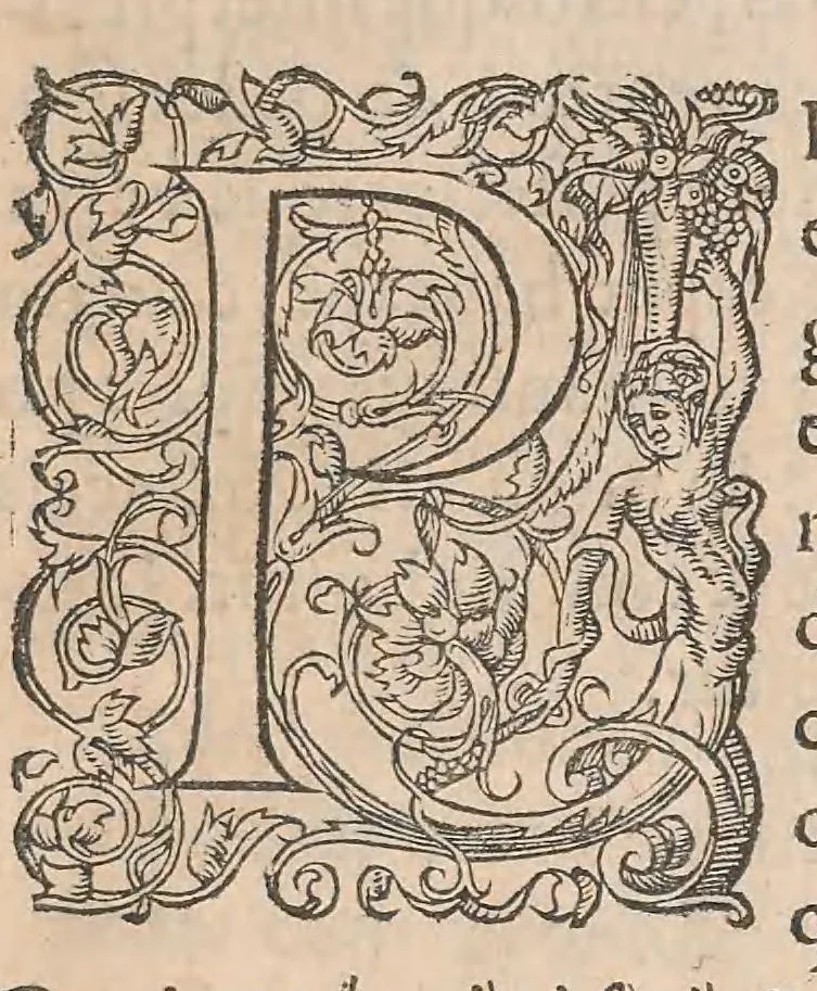 An illustration from Gulielmi Rondeletii doctoris Medici et medicinae ... Libri de piscibus marinis : in quibus veræ piscium effigies expressae sunt : quæ in tota piscium historia continentur, indicat elenchus pagina nona et decima : postremo accesserunt indices necessarij, 1554, leaf 517