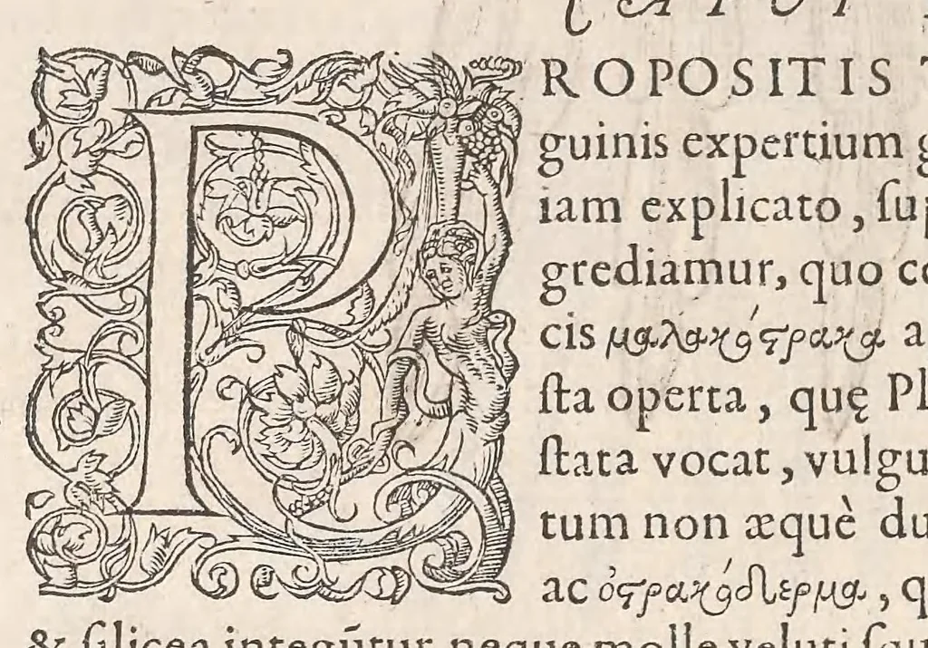 An illustration from Gulielmi Rondeletii doctoris Medici et medicinae ... Libri de piscibus marinis : in quibus veræ piscium effigies expressae sunt : quæ in tota piscium historia continentur, indicat elenchus pagina nona et decima : postremo accesserunt indices necessarij, 1554, leaf 554