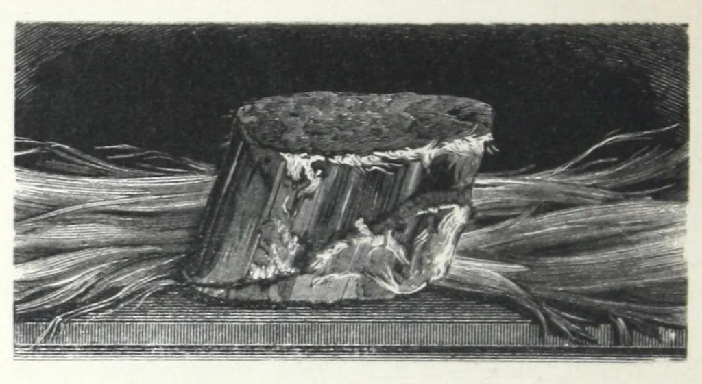 An illustration from H.W. Johns' standard asbestos materials., 1882, leaf 3