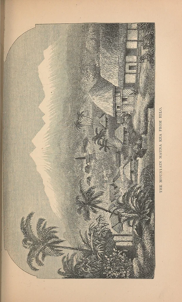 An illustration from The Hawaiian archipelago. Six months among the palm groves, coral reefs, & volcanoes of the Sandwich Islands, 1876, leaf 151