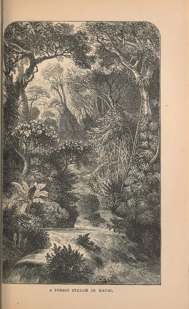 An illustration from The Hawaiian archipelago. Six months among the palm groves, coral reefs, & volcanoes of the Sandwich Islands, 1876, leaf 235