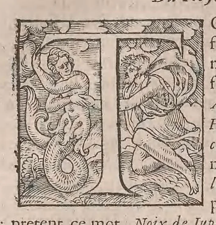 An illustration from Histoire generale des plantes : contenant XVIII livres egalement de partis en deux tomes, 1653, leaf 282