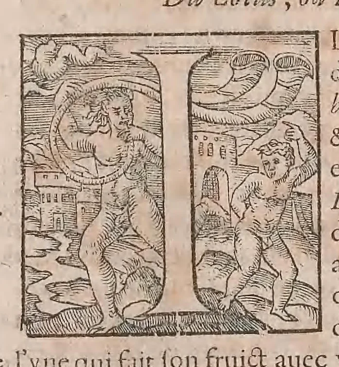 An illustration from Histoire generale des plantes : contenant XVIII livres egalement de partis en deux tomes, 1653, leaf 304