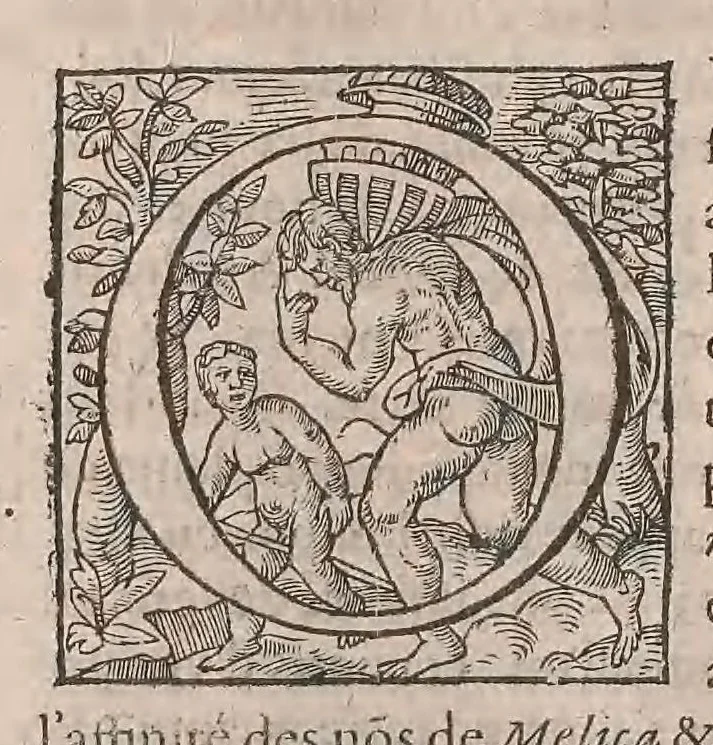 An illustration from Histoire generale des plantes : contenant XVIII livres egalement de partis en deux tomes, 1653, leaf 354