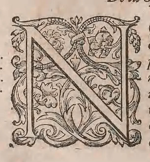 An illustration from Histoire generale des plantes : contenant XVIII livres egalement de partis en deux tomes, 1653, leaf 466
